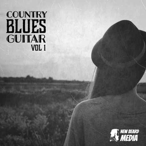 Country Blues Guitars Vol.1 WAV-FANTASTiC