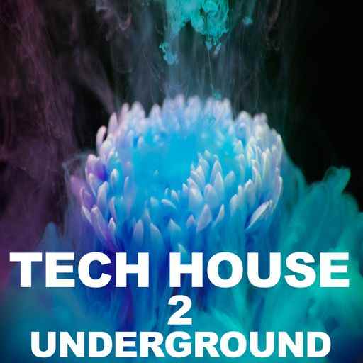 Tech House Underground 2 WAV-FANTASTiC