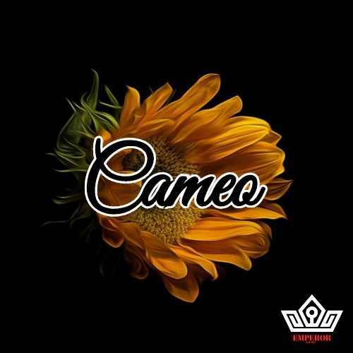 Cameo WAV-FANTASTiC