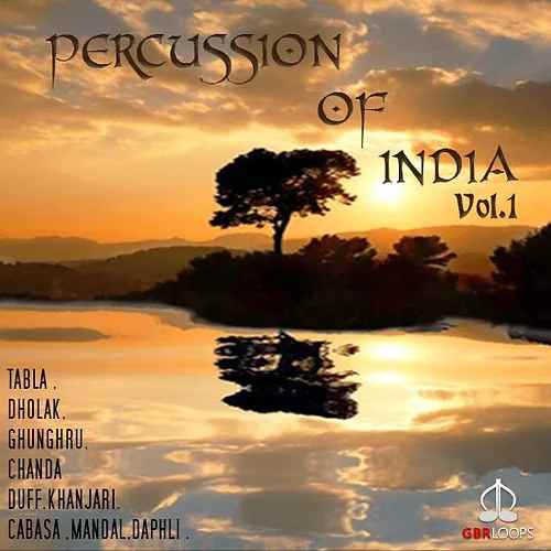 Percussion Of India Vol.1 WAV REX KONTAKT-FANTASTiC