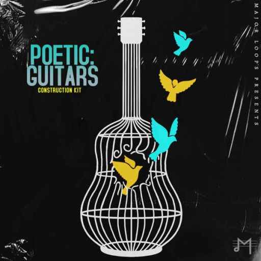 Poetic: Guitars WAV-FANTASTiC