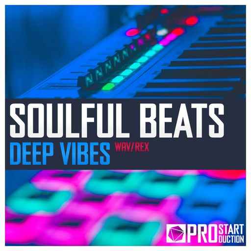 Soulful Beats: Deep Vibes WAV-FANTASTiC