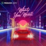 What You Want MULTiFORMAT-DECiBEL