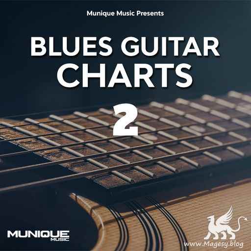 Blues Guitar Charts 2 WAV