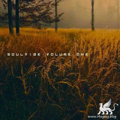 Soulvibe Vol.1: Pro Audio Hip Hop Sample Pack WAV