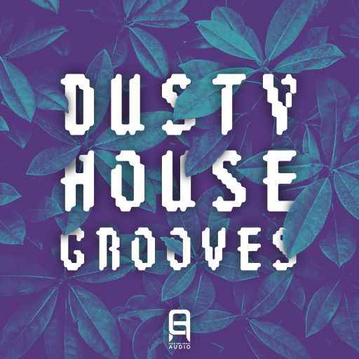 Dusty House Grooves WAV-FANTASTiC