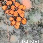 LiMiNAL: Chamber Strings Textures Vol.1 KONTAKT