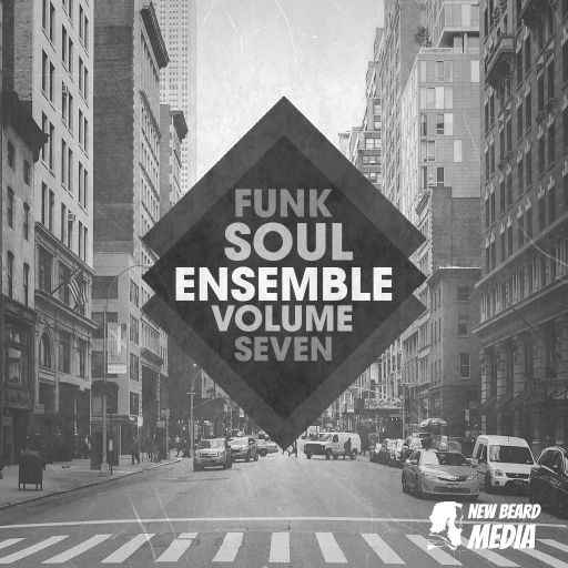 Funk Soul Ensemble Vol.7 WAV-FANTASTiC