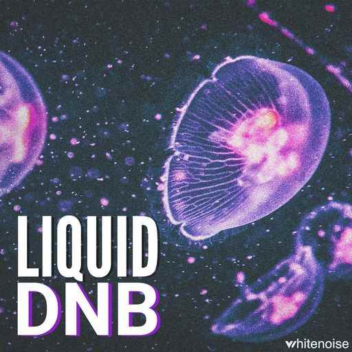 Download Liquid Drum And Bass WAV FANTASTiC MaGeSY 