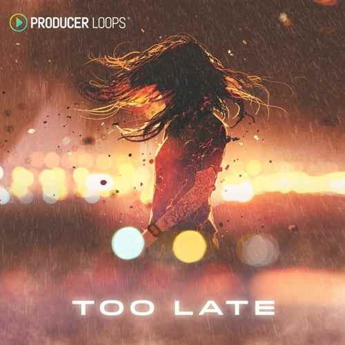 Too Late MULTiFORMAT-DECiBEL