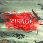 ViSAGE Loop Kit FANTASTiC | 24 August 2022 | 403 MB This...