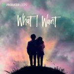 What I Want MULTiFORMAT-DECiBEL