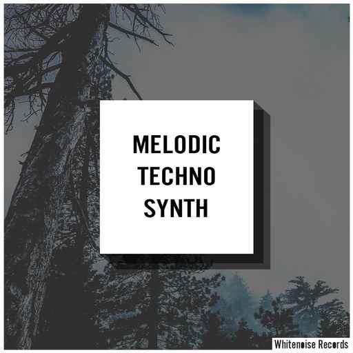 Melodic Techno Synth WAV-FANTASTiC