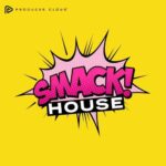 Smack House WAV MiDi P2P | 23 October 2022 | 312.73MB 'Smack...