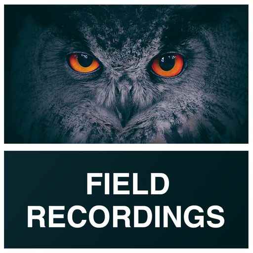 Field Recordings WAV