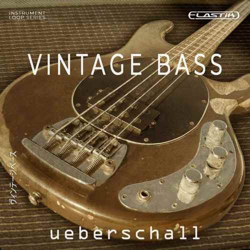 Vintage Bass ELASTiK