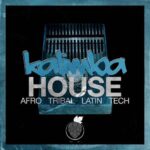 Kalimba House WAV-FANTASTiC