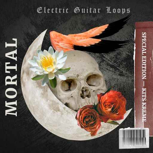 Mortal Electric Guitar Loops WAV-FANTASTiC