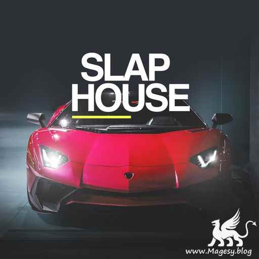 Slap House WAV-FANTASTiC