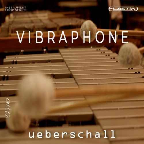 Vibraphone ELASTiK