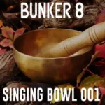 Singing Bowl 001: Percussive Loops WAV-FANTASTiC