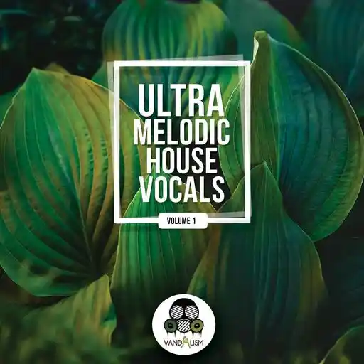 Ultra Melodic House Vocals WAV-FANTASTiC