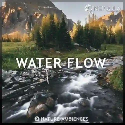 Water Flow WAV-FANTASTiC