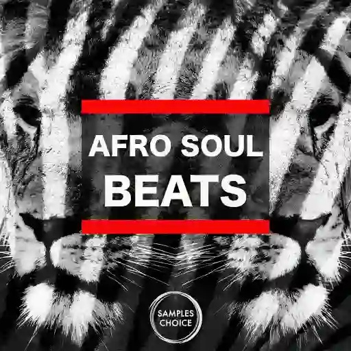 Afro Soul Beats WAV-FANTASTiC