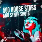 500 House Stabs And Synth Shots MULTiFORMAT