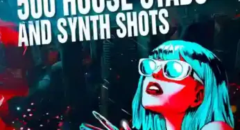 500 House Stabs And Synth Shots MULTiFORMAT