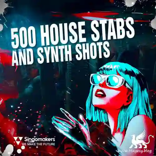 500 House Stabs And Synth Shots MULTiFORMAT-MaGeSY