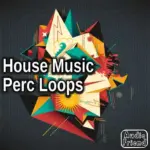 AudioFriend House Music Perc Loops WAV-FANTASTiC