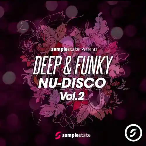 Deep And Funky Nu Disco 2 MULTiFORMAT