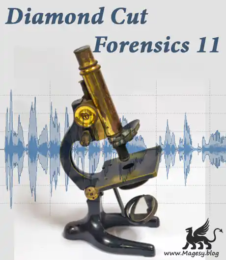 Diamond Cut Forensics 11 Audio Laboratory v11 WiN-CRD-MaGeSY