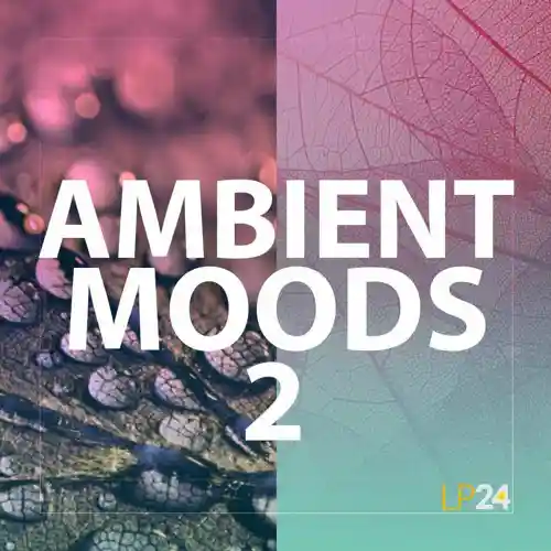 Ambient Moods 2 Wav Fantastic Magesy