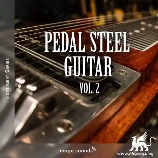 Pedal Steel Guitar 2 Wav Magesy