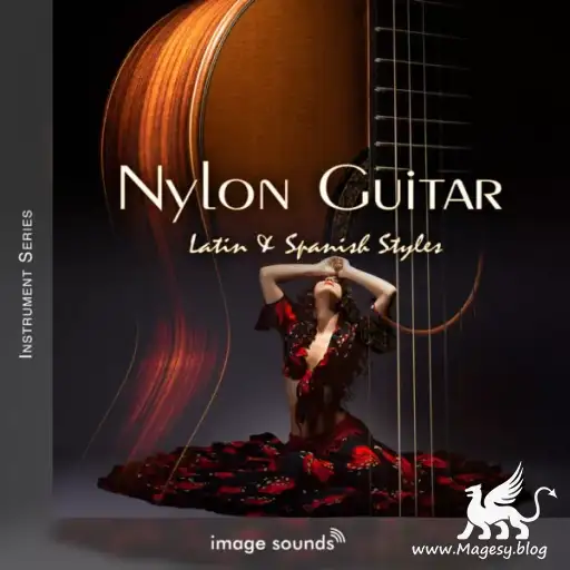 Nylon Guitar Latin And Spanish Styles Wav Magesy