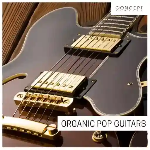 Concept Samples Organic Pop Guitars Wav Fantastic Magesy