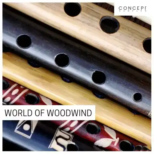 Concept Samples World Of Woodwind Wav Fantastic Magesy