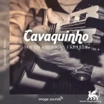 Cavaquinho: South American Ukulele WAV-DECiBEL
