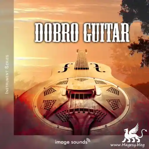 Dobro Guitar Wav Decibel Magesy