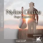 Nylon Guitar 2 Team DECiBEL | 27 September 2023 | 785.9MB 670...