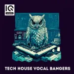Tech House Vocal Bangers WAV