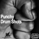 AudioFriend Punchy Drum Shots WAV-FANTASTiC