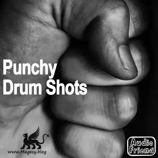 Audiofriend Punchy Drum Shots Wav Fantastic Magesy