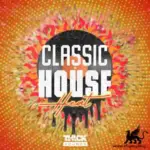 Classic House Heat WAV MiDi SERUM-FANTASTiC