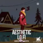 Smokey Loops Aesthetic Lo-Fi WAV-FANTASTiC