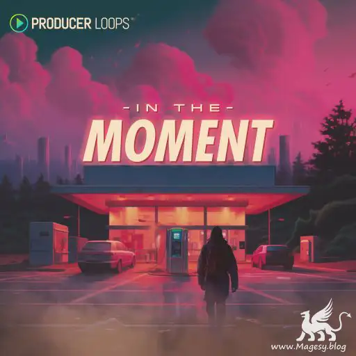 In The Moment MULTiFORMAT-FANTASTiC-MaGeSY