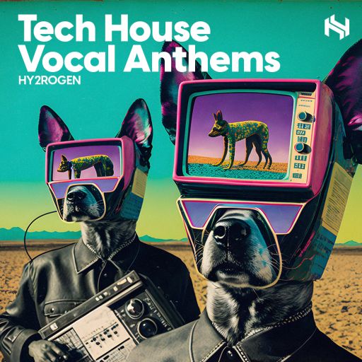 Tech House Vocal Anthems Multiformat Fantastic