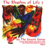 AMG The Rhythm of Life 2: The Groove Gurus WAV
